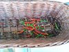 rps20150721_222136.jpg