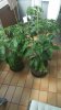 IMG-20150722-WA0000.jpeg