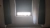 IMAG0027.jpg