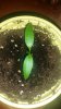 20160215_185154.jpg