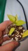20160313_155437.jpg