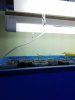 IMG_20160314_183431.jpg