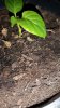 20160408_224120.jpg