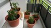 20160419_160151.jpg