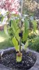20160606_185501.jpg