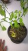 WP_20160627_15_33_29_Pro.jpg