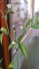20160914_175815.jpg