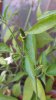 20160914_175822.jpg