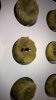 WP_20170124_22_14_41_Rich.jpg