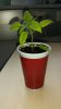 20170207_150027.jpg