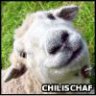 Chilischaf