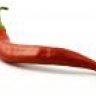 ilikespicy