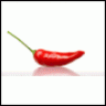 chili321