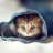 Naschkatze