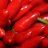 Mr.Chili