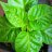 Andy_80