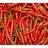 Chilli4life