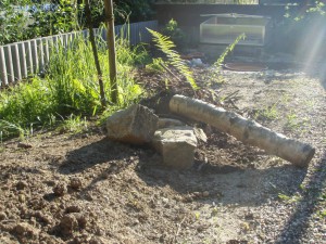 Projekt Schildkrötenfreigehege