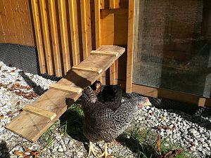 Garten und Co