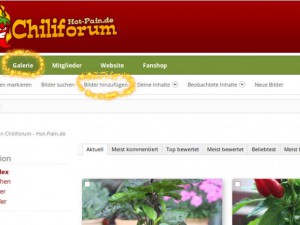 Anleitung Bilder Hinzufügen