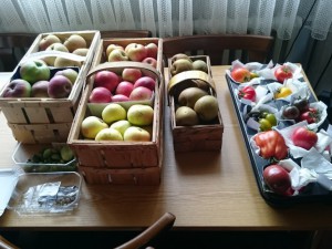 Erntetreff Oberursel 2016