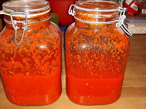 Fermentierte Saucen/Gemüse