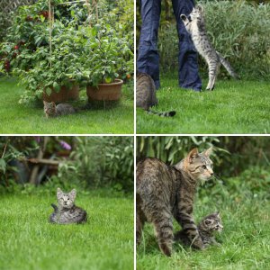 Lili und Leo