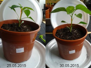 2015-05-30-vergleich-10