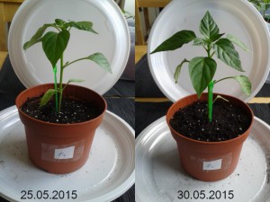 2015-05-30-vergleich-14