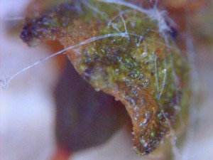 20150607_0004