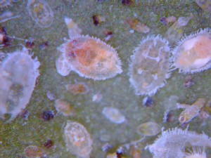 20150607_0002
