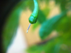 IMG_1546