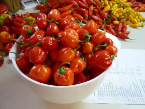 Habanero Caribbean
