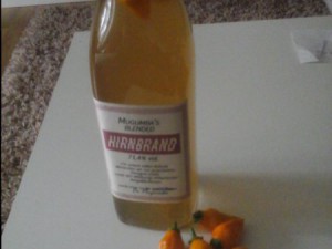 Hirnbrand
