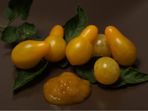 Gelbes Ketchup 3