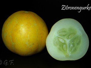 Zitronengurke