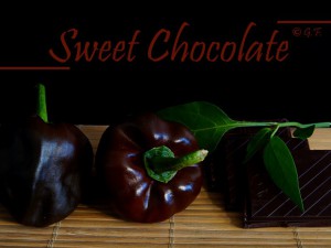 Sweet Chocolate