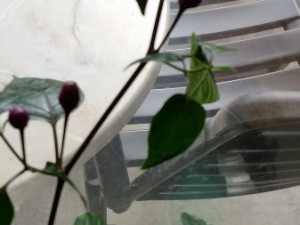 20150911_124834
