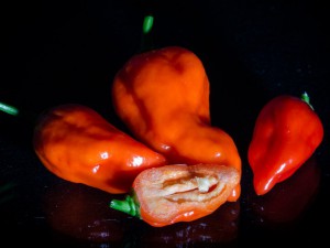 Bhut_Jolokia_red_Frucht