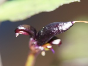 20160809 016