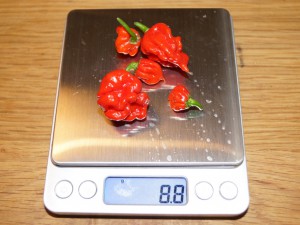 20160809 027
