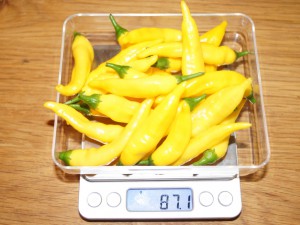 20160809 036