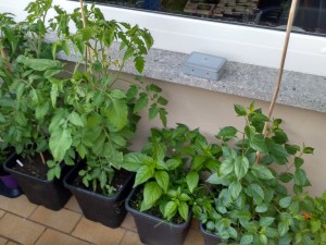 IMG_20160810_205517884_HDR