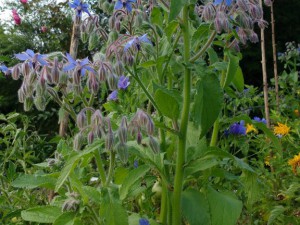 IMG_20160814_183139703