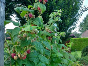 IMG_20160814_183503760_HDR