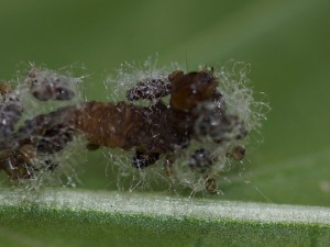 20160816 004