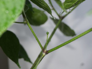 20160818 043