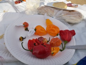 IMG_20160820_173503