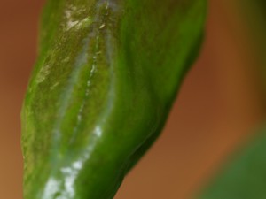 20160823 070