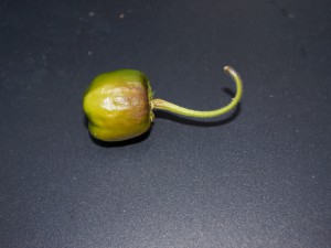 20160827 003